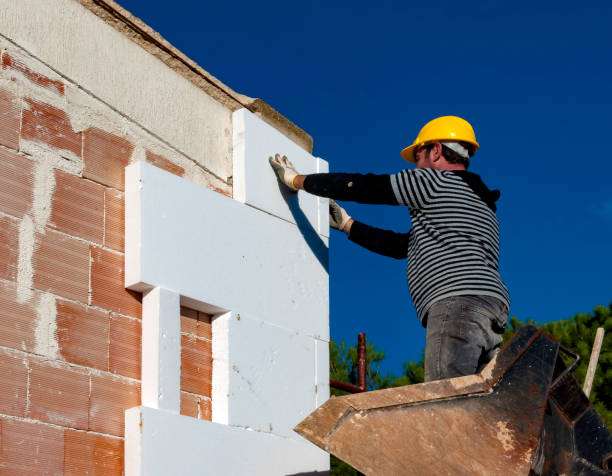 Best Insulation Contractors for Homes  in Twin Lakes, VA