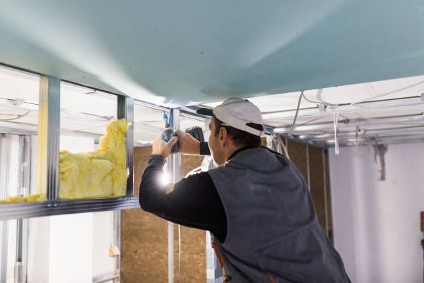 Best Residential Insulation Services  in Twin Lakes, VA