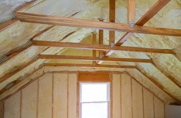 Best Home Insulation Services  in Twin Lakes, VA
