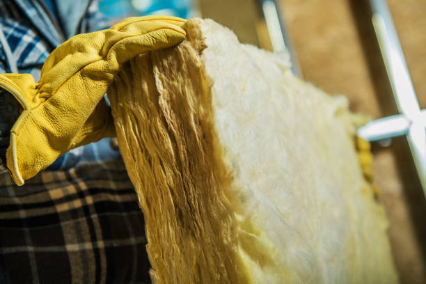 Best Insulation Inspection Services  in Twin Lakes, VA