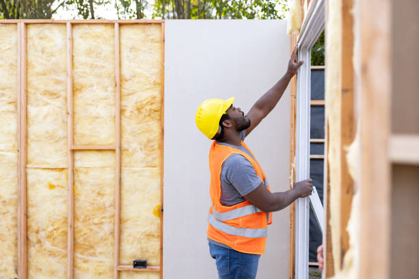 Best Cellulose Insulation  in Twin Lakes, VA