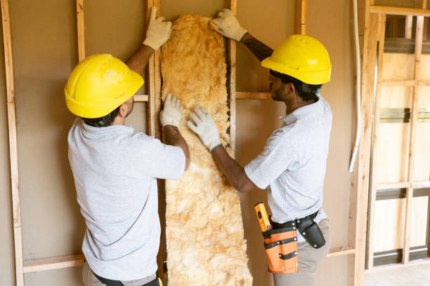 Insulation for Commercial Buildings in Twin Lakes, VA