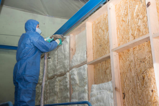 Best Spray Foam Insulation  in Twin Lakes, VA