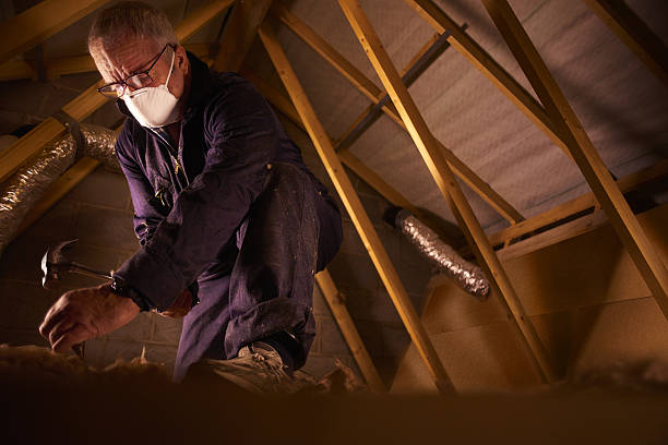 Best Crawl Space Insulation  in Twin Lakes, VA